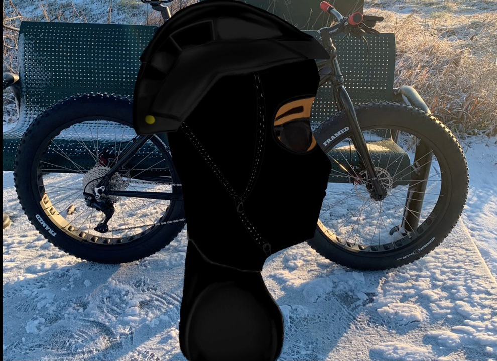 Screenshot of Savannah P. entry